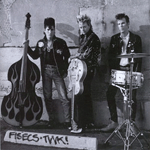 Stray Cats